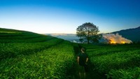 Malam tiba dan senja pun berlalu