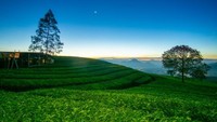 Bulan sabit mulai menggantikan sunset