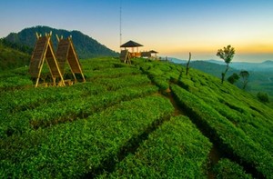 Menikmati Sunset di Wayang Windu Panenjoan, Pangalengan