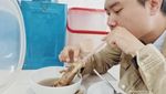 Menikmati Sup Kaledo Khas Palu di Jakarta