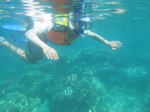 Menikmati Wisata Bawah Laut Karimunjawa