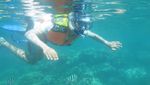 Menikmati Wisata Bawah Laut Karimunjawa