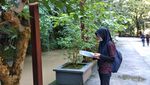 Meniti Jembatan Gantung Keren di Kerajaan Kupu-kupu