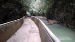 Meniti Jembatan Gantung Keren di Kerajaan Kupu-kupu