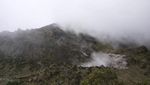Menjajal Terjalnya Puncak Kawah Sumbing