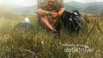 Menjejakkan Kaki di Lore Lindu, Situs Megalitikum Tertua
