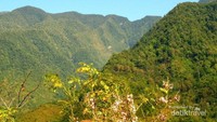 Puncak Daulu. Udara sejuk dan pemandangan hijau seolah mengembalikan energi setelah penat beraktivitas di kota. Kalau sedang musim panen cengkeh, sepanjang jalan di Desa Pattanateang, Tompobulu, Bantaeng akan tercium aroma cengkeh yang hangat