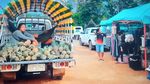 Menjelajah Eloknya Alam Vang Vieng
