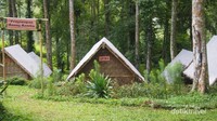 Pondokan tempat kami menginap