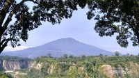 Tempat yang begitu sejuk dan panorama yang indah