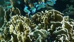 Menjelajah Pulau Weh, Surga Kecil di Ujung Sumatera