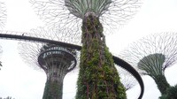 View dari bawah Garden by the bay