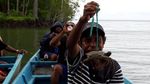 Menjelajahi Cagar Alam nan Indah di Timur Indonesia