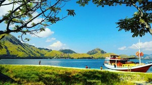 Menjelajahi Indahnya Pulau Komodo di NTT
