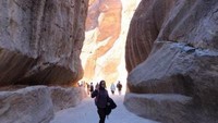 The siq