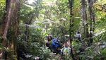 Menjelajahi Lembah Mandalawangi