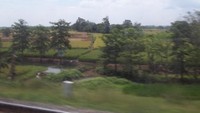Pemandangan di jalur Pantura dari atas kereta api.