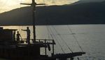 Menjelajahi Pulau Komodo, Seru Banget!
