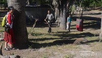 Komodo di Pulau Komodo ditemani Bapak Ranger.