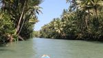 Menjelajahi Sungai Amazon Indonesia