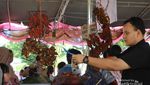 Menu Berbuka Lengkap Ada di Pasar Pabukoan, Sumbar