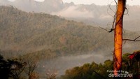 Negeri di atas awan