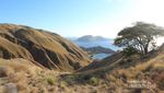 Menyambut Fajar di Gili Lawa