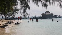 Melihat para wisatawan berenang di laut yang bersih nan biru