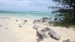 Menyambut Tahun 2016 di Pulau Semak Daun