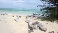 Hamparan pasir putih dan suasana laut yang bersih dan indah