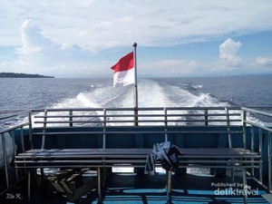Menyapa Banggai Cardinal Fish di Pulau Banggai