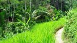 Menyapa Kearifan Kampung Adat Kasepuhan Banten Kidul