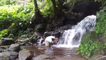 Menyapa Pagi di Curug Cilember, Si Air Terjun 7 Lapis