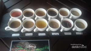 Menyeduh Kopi Luwak Berbalut Kabut di Tampaksiring, Bali