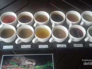 Menyeduh Kopi Luwak Berbalut Kabut di Tampaksiring, Bali