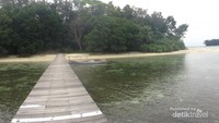 Pemandangan Pulau Sepa dari jetty