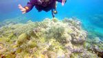 Menyelami Keindahan Wakatobi