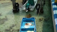 Sekoci dan kapal kecil tertambat di dermaga