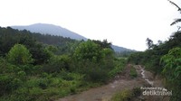 Jalur di awal pendakian, puncak Marapi sudah nampak