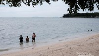 Pantai di Pulau Cipir