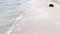 Pantai di Pulau Kelor