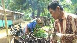 Menyeruput Kawa Daun, Kopi Perjuangan yang Bersejarah