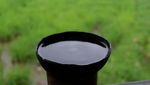 Menyeruput Kawa Daun, Kopi Perjuangan yang Bersejarah