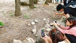 Menyusun Batu Harapan di Gunung Seorak, Korea Selatan