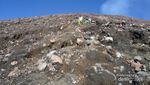 Menyusuri Baturaden menuju Gunung Slamet, Bisa!