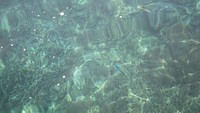 Snorkling di Pulau Rakata