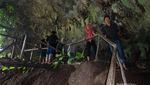 Menyusuri Gua Kelelawar yang Gelap & Mencekam di Sawarna