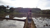 Menyusuri jalan pesawahan