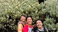 Mandalawangi memang indah