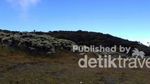 Menyusuri Jejak Soe Hok Gie di Gunung Pangrango